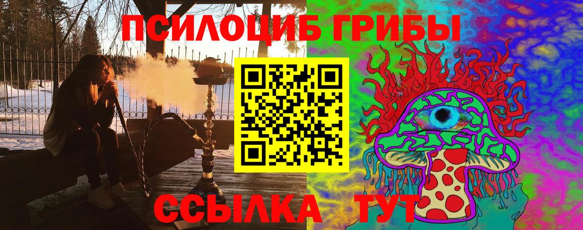 Шадринск  Галлюциногенные грибы MAGIC MUSHROOMS  Вход с VPN 